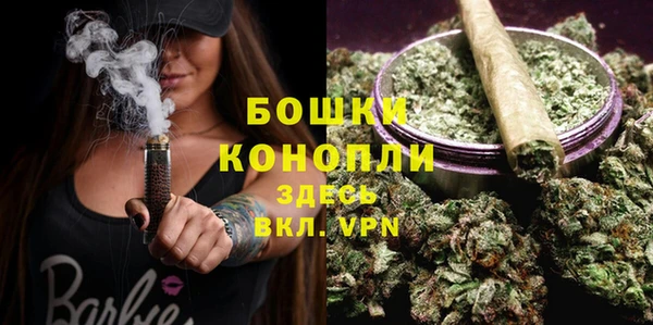 сатива Володарск