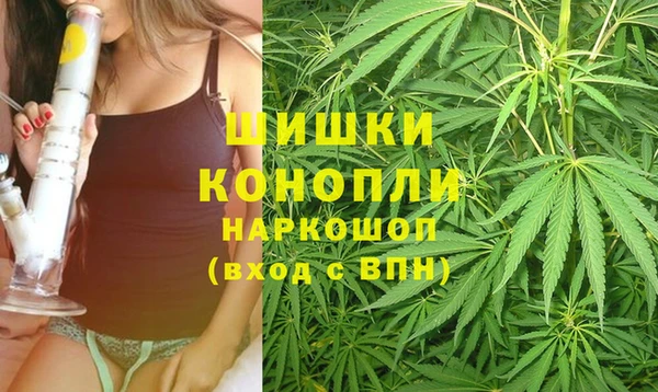 сатива Володарск