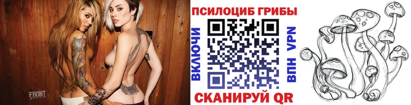 Галлюциногенные грибы GOLDEN TEACHER  Кострома 
