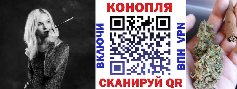 где продают наркотики omg Шишки марихуана планчик Кострома